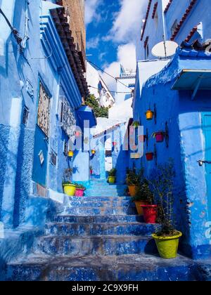 Kobaltblaues Dorf in Chefchaouen, Marokko, Nordafrika. Blaues Tor, Wand und Boden und bunte Blumentöpfe. Pouplar Platz für Touristen. Stockfoto