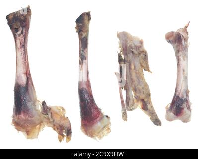 Hühnerknochen isoliert auf weißem Hintergrund Stockfoto