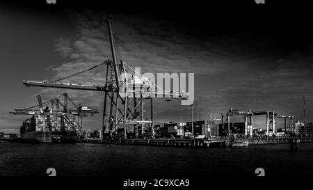 Schwarz-Weiß-Foto von Container Port mit den großen Containerkranen, die einen Ocean Going Frachter im Hafen von Vancouver verladen Stockfoto