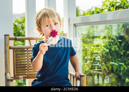 Der Junge hält Smoothies aus einer Drachenfrucht mit einem Minzblatt und einem Trinkhalm Stockfoto