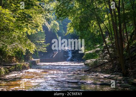 Wunderschöne Landschaft auf dem Cascadilla Gorge Trail in Ithaca, New York Stockfoto