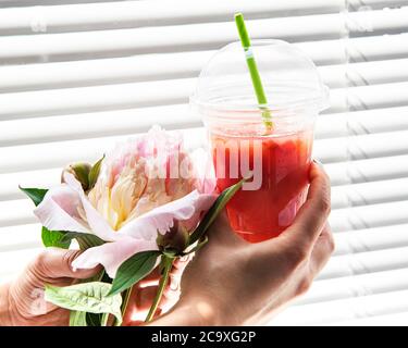 Erfrischendes Sommergetränk mit Erdbeere in weiblichen Händen vor dem Fenster und einem Bouquet von Pfingstrosen Stockfoto