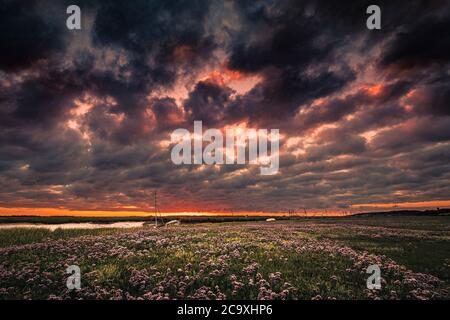 Sonnenaufgang an der Saltmarsh Küste. Stockfoto