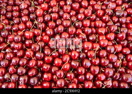 Kirschen frischer Haufen auf Bauernmarkt, Hintergrund, Textur. Nahaufnahme Stockfoto