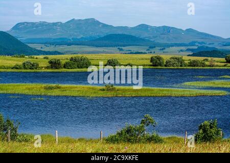 Lac des Bordes. Brion. Cezallier. Puy de Dome. Auvergne. Frankreich Stockfoto