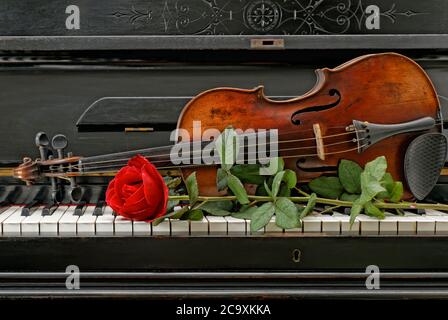 Alte antike Klaviervioline und rote Rose Stockfoto