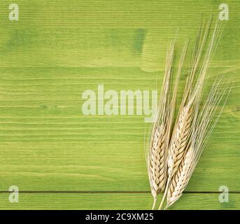 Maiskolben auf Holztisch hautnah Stockfoto