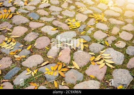 Herbst gefallene Blätter auf Pflastersteinen Stockfoto