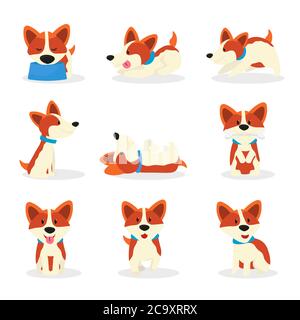 Niedliche Corgi Hunde Farbe Vektor Illustrationen Set Stock Vektor