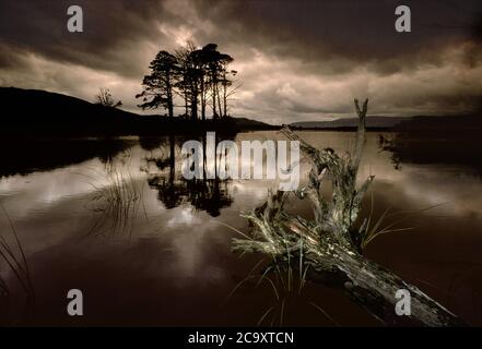 Moody Bild von Bäumen spiegelt sich in einem See in Loch Garten Schottland Stockfoto