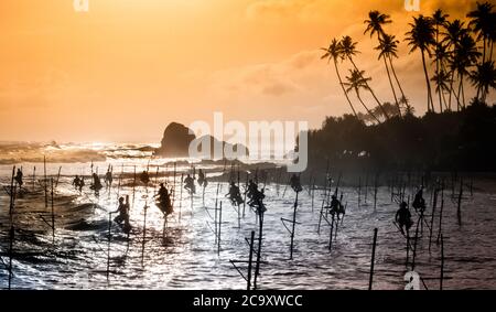 Traditionelle Stelzenfischer bei Sonnenuntergang in der Nähe von Koggala in Sri Lanka Stockfoto