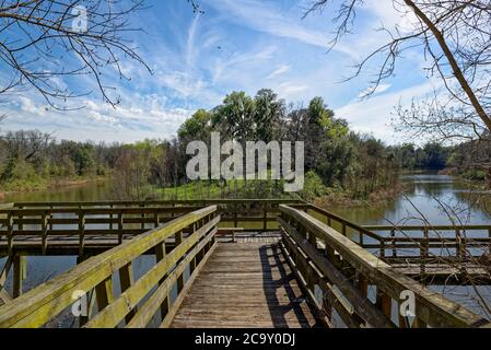 Ein hölzerner Pier oder Aussichtspunkt an einer Biegung im Fluss Brazos, im Brazos Bend State Park in Texas, unter einem sonnigen blauen Himmel im März. Stockfoto