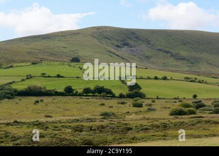 Blick über ländliche grüne Blättert landwirtschaftliches Land in Richtung Foel Cwmcerwyn der höchste Punkt in den Preseli Mountains Preseli Hills pembrokeshire Wales Stockfoto