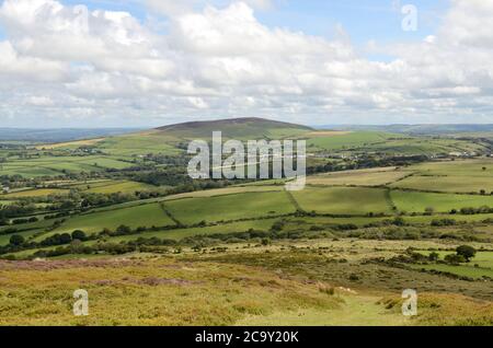 Blick über ländliche grüne Blättert landwirtschaftliches Land in Richtung Foel Cwmcerwyn der höchste Punkt in den Preseli Mountains Preseli Hills pembrokeshire Wales Stockfoto