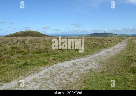 Die Golden Road alten neolithischen Weg über die Preseli Hills Preseli Mountains Pembrokeshire Wales Cymru UK Stockfoto