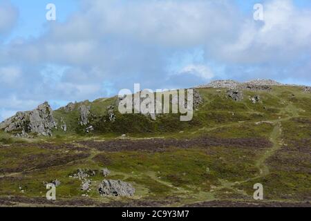 Fußweg zu den drei bronzezeitlichen Steinhaufen auf Foel Drygard Preseli Hills Pembrokeshire Wales Cymru Großbritannien Stockfoto