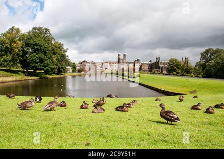 In ganz Großbritannien - Stonyhurst College, Hurst Green, Clitheroe, Lancashire, Großbritannien Stockfoto