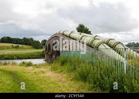 In ganz Großbritannien - EIN prächtiges Aquädukt aus den 1880er Jahren, das den River Ribble bei Hurst Green überquert. Stockfoto