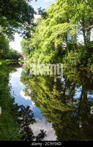 Rund um Großbritannien - Reflexionen auf dem Leeds-Liverpool-Kanal Stockfoto