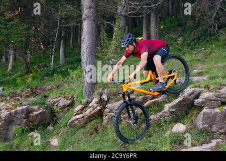 Mann geht einige Felsen in einem Wald auf einem Mountainbike, Konzept von Sport und gesunden Lebensstil Stockfoto