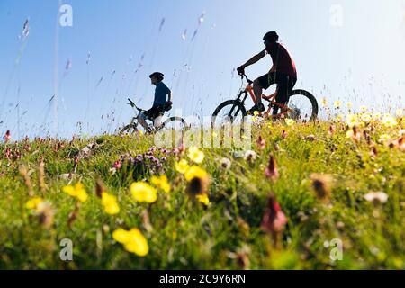 Silhouette von zwei jungen Männern mit ihren Mountainbikes in einer Blumenwiese, Konzept des Sports mit Freunden und gesunder Lebensstil in der Natur, Copy Space fo Stockfoto