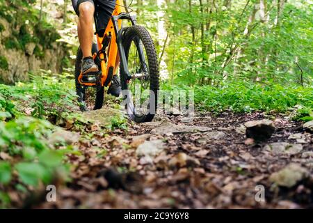 Vorderansicht eines unerkennbaren Radfahrers im Mountainbike, das schnell auf einem Waldweg fährt, Konzept von Sport und gesunder Lebensweise in der Natur, Kopierraum für Stockfoto