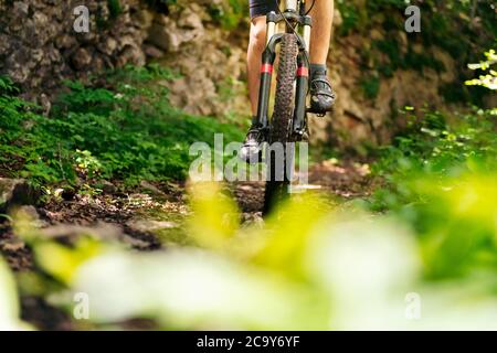 Vorderansicht der Räder eines Mountainbikes, das schnell auf einem Waldweg fährt, Konzept von Sport und gesunder Lebensweise in der Natur, Kopierraum für Text Stockfoto