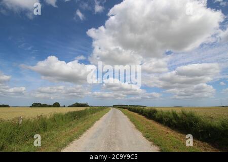 Yorkshire Wolds, England. Eine unentdeckte Region. Stockfoto