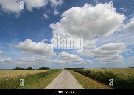 Yorkshire Wolds, England. Eine unentdeckte Region. Stockfoto