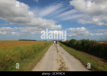 Yorkshire Wolds, England. Eine unentdeckte Region. Stockfoto