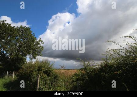 Yorkshire Wolds, England. Eine unentdeckte Region. Stockfoto