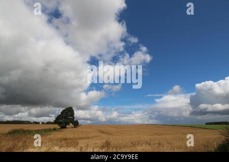 Yorkshire Wolds, England. Eine unentdeckte Region. Stockfoto