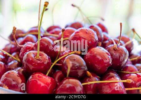 Saftige Kirschen mit Wassertropfen, Nahaufnahme. Rote Kirsche Hintergrund. Stockfoto