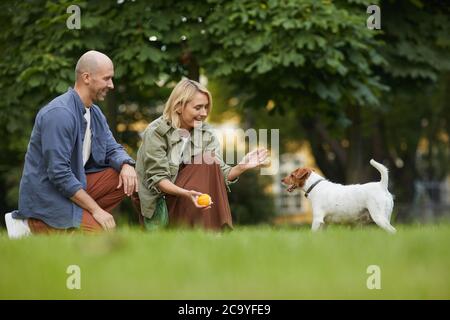 Seitenansicht Porträt eines erwachsenen Paares, das mit Hund im Park spielt, Fokus auf lächelnde Frau, die den Ball zu Jack Russel Terrier hält, Kopierraum Stockfoto