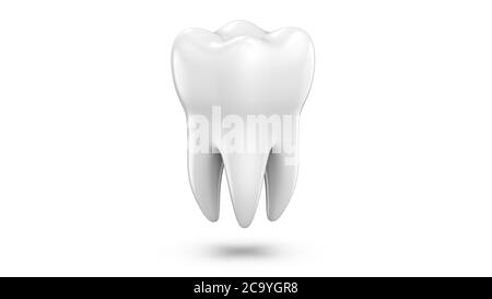 Dental 3d-Modell des prämolaren Zahn als Konzept der zahnärztlichen Untersuchung Zähne, Zahngesundheit und Hygiene. 3d-Rendering-Illustration isoliert auf weißem BAC Stockfoto