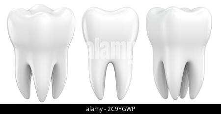 Set von zahnmedizinischen prämolaren Zähne 3d-Modelle als Konzept der zahnärztlichen Untersuchung Zähne, Zahngesundheit und Hygiene. 3d-Rendering-Illustration isoliert auf whit Stockfoto