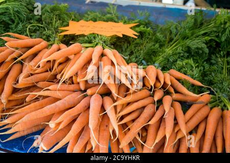 Frische Karotten zum Verkauf auf einem französischen Lebensmittelmarkt Stockfoto
