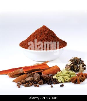 Indische Garam Masala Pulver in Schüssel und es ist Zutaten bunte Gewürze. Selektive Fokus, Garam Masala oder mischen Gewürze, ganze Garam Masala Stockfoto