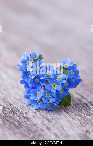 Vergessenot Blumen in Herzform auf einem hölzernen Hintergrund Stockfoto