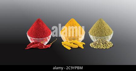 Kurkuma, Chilly, Koriander, Puder Haldi, Marcha, Dhana, Koriandersamen, Dry Chilly, Kurkuma Wurzel, Masala in Schale, Holz & Weißer Hintergrund -Bild Stockfoto