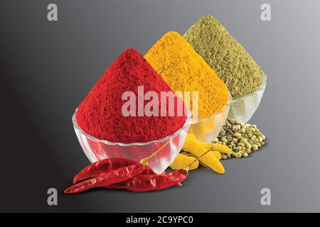 Kurkuma, Chilly, Koriander, Puder Haldi, Marcha, Dhana, Koriandersamen, Dry Chilly, Kurkuma Wurzel, Masala in Schale, Holz & Weißer Hintergrund -Bild Stockfoto