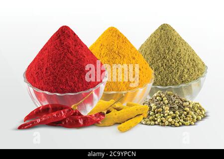 Kurkuma, Chilly, Koriander, Puder Haldi, Marcha, Dhana, Koriandersamen, Dry Chilly, Kurkuma Wurzel, Masala in Schale, Holz & Weißer Hintergrund -Bild Stockfoto