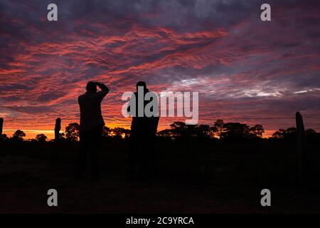 Fotografen, die den Sonnenuntergang in Nord Pantanal, Brasilien, festhalten Stockfoto