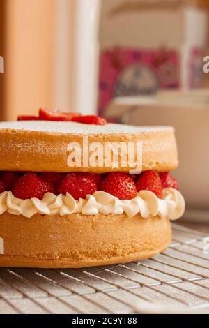 Vanilla und Strawberry Victoria Biskuitkuchen Stockfoto