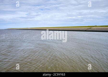 Typisch holländische Ansicht von einem Deich, Ufermauer, mit Schafen grünen Grasland und das Wattenmeer. Sedyk, Friesland, Harlingen, Niederlande. Stockfoto