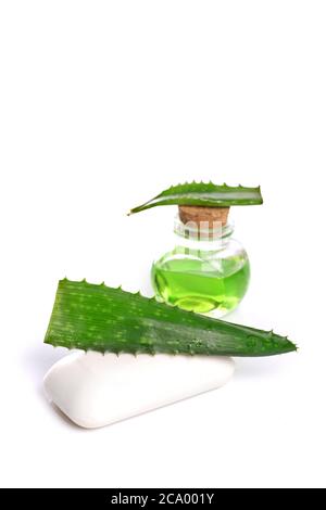 aloe Vera Öl isoliert auf weißem Hintergrund Stockfoto