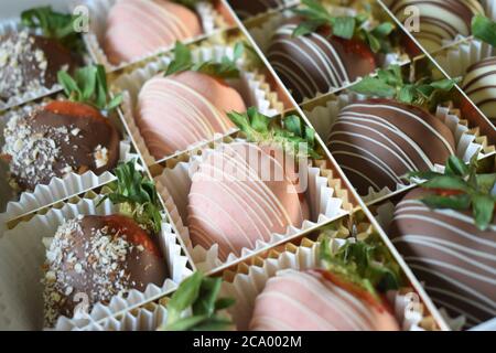 Eine Nahaufnahme einer Vielzahl von Gourmet-Erdbeeren in Schokolade Stockfoto