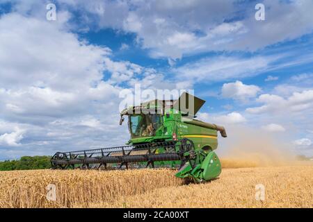 Mähdrescher Ernte Weizen auf einem Feld an einem sonnigen Tag. Viel Hadham, Hertfordshire. VEREINIGTES KÖNIGREICH Stockfoto