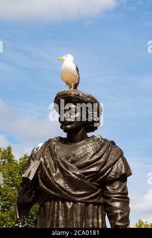 Möwe sitzt auf dem Kopf der Statue von Rajah Rammohun Roy, College Green Bristol, England. Juli 2020 Stockfoto