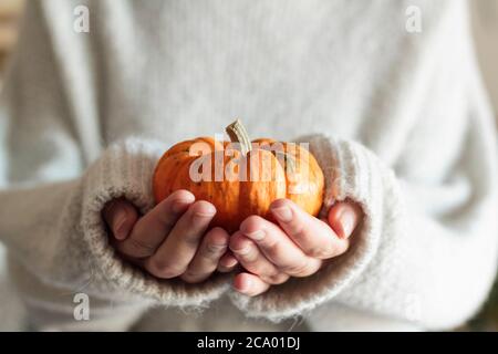 Frau mit weißem Wollpullover hält einen orangefarbenen Kürbis Stockfoto